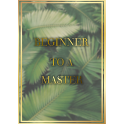 BEGINNER TO MASTER -...